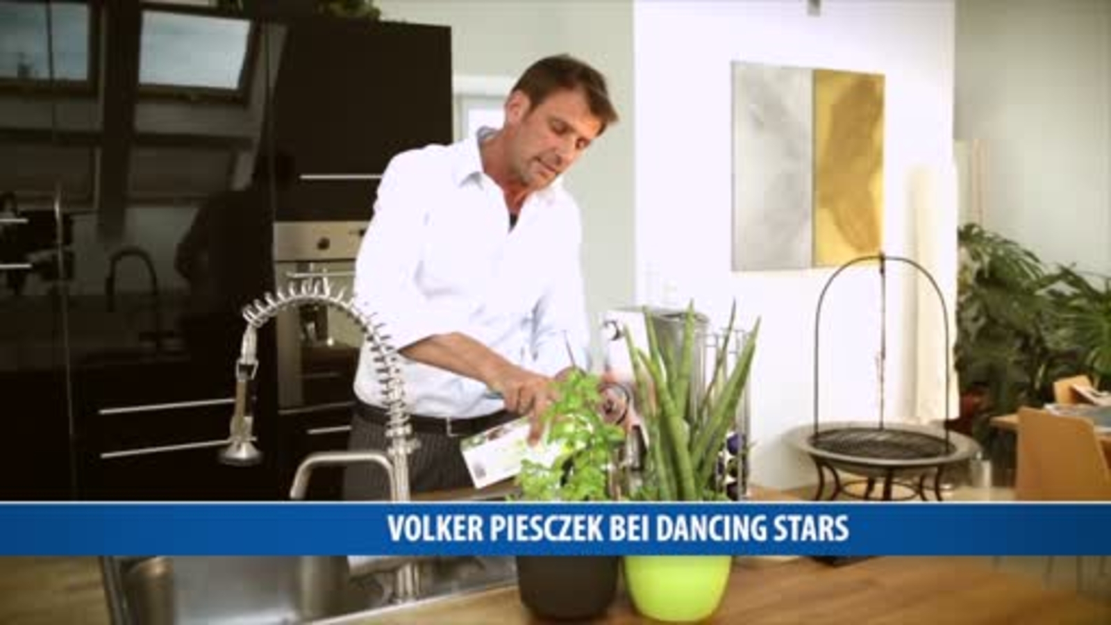 Volker Piesczek Bei Dancing Stars Oe At