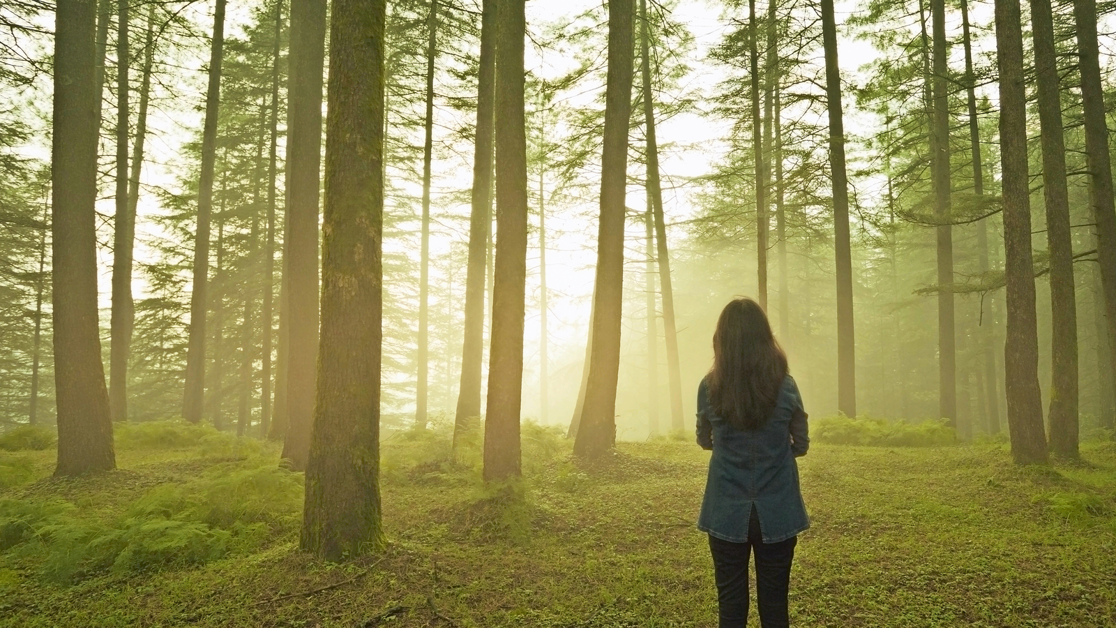 Sex Video mit Jähriger im Wald gedreht