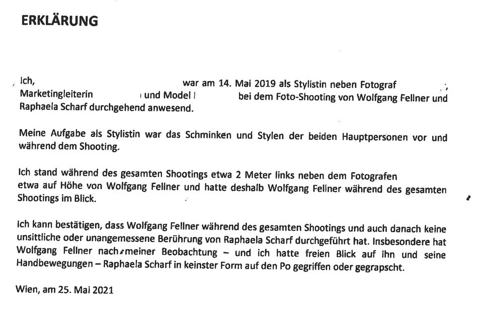 Alle Zeugen für Fellner
