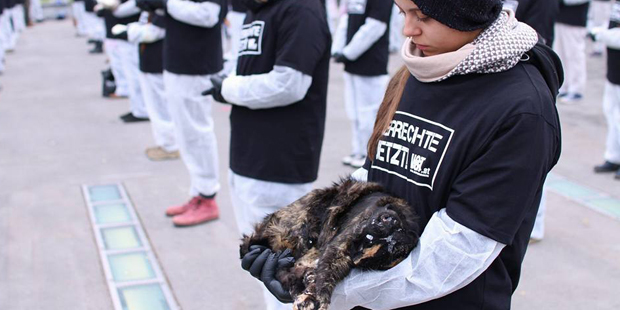 Tierschützer-Protest mit 650 toten Tieren