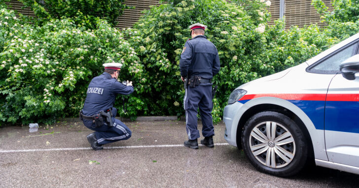 Mord-Alarm in NÖ: 52-Jährige tot aufgefunden