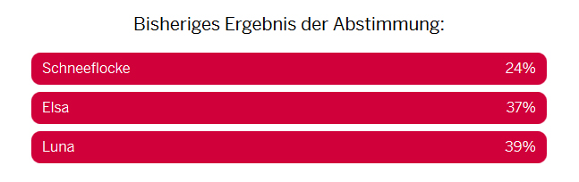 Voting-Eisbär