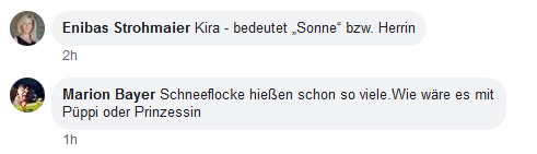 Eisbär