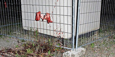 Schweine-Anschlag auf Grazer Moschee