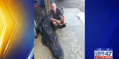 Männer fangen 350-Kilo Alligator