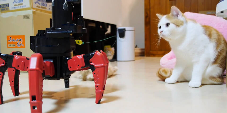Люди вымерли остались роботы. Робот кот. Роботизированный котик. Робо кошка. Роба кошка.