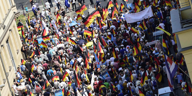 AfD Demos Berlin