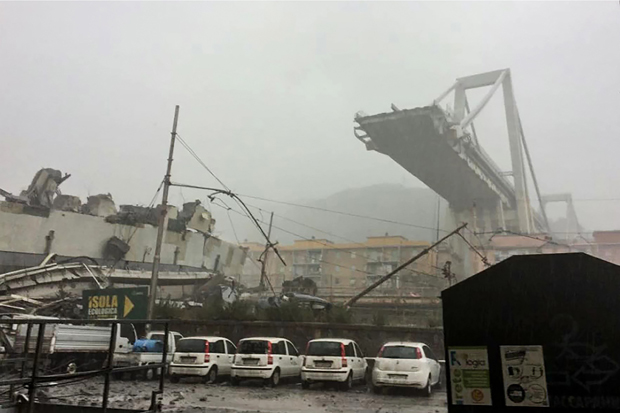 Brücken-Unglück in Genua: Mehr als 30 Tote