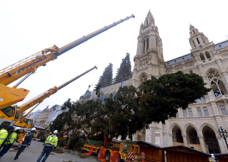 Christbaum Rathausplatz