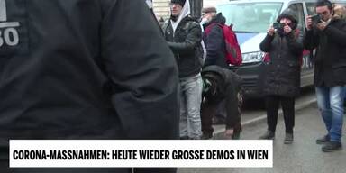 20220129_66_613117_220129_XX_Demo_Uschi_bei_Pfefferspray_Polizei_und_Demonstrant_am_Boden.jpg