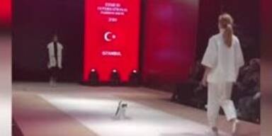 Models aufgepasst: So sieht ein richtiger Catwalk aus