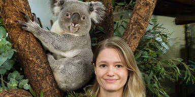 Tiergarten-Mitarbeiter spenden ihr Gehalt für australische Wildtiere