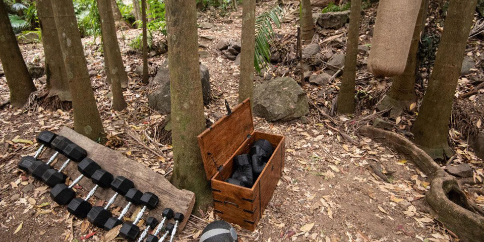 Dschungelcamp