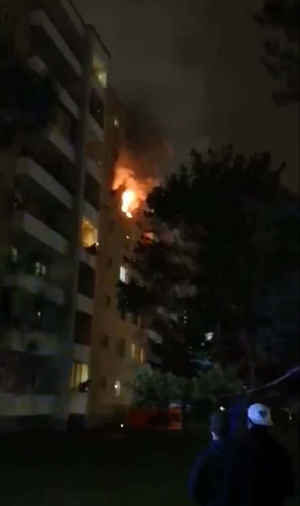 Feuer-Drama in Wien: Mann & Hund verletzt