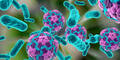 Hepatitis