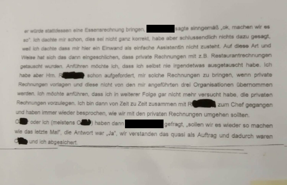 Strache: 'Angst meiner Gegner unermesslich groß'
