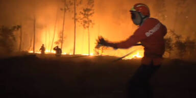 Hitzewelle: Ein toter bei Waldbrand in Portugal