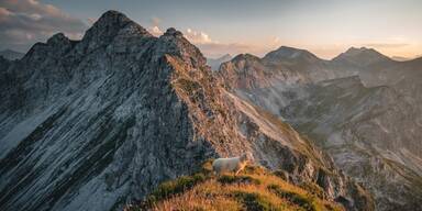 Berge