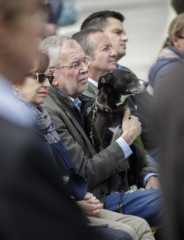 Das Drama um 'First Dog' Juli