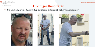 Wiener Dealer steht auf ''Most Wanted''-Liste