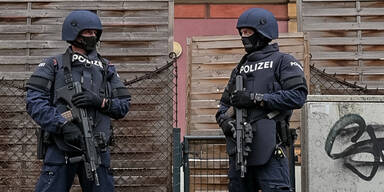 Terror in Wien: Cobra zeigt verstärkt Präsenz in Österreich