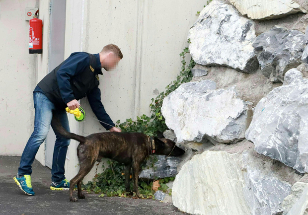 Mord an 20-Jähriger: Täter machte einen Fehler!