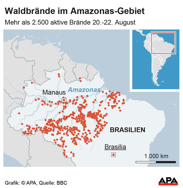 Diese Stars machen sich für Amazonas-Regenwald stark