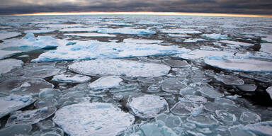 Arktis Eis