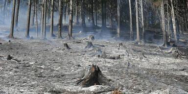 Explosionen bei Waldbrand in Lilienfeld