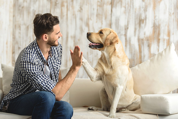 Mann und Hund