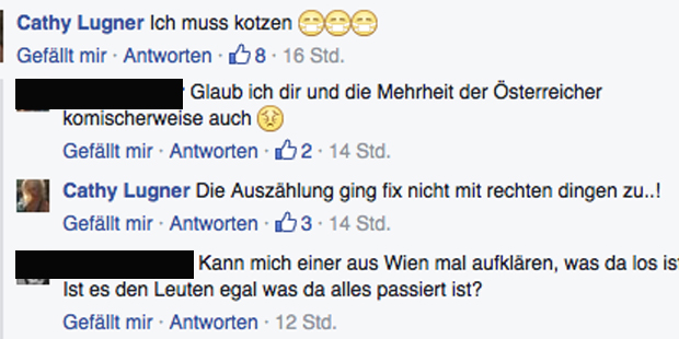 Facebook-Hetze gegen Van der Bellen