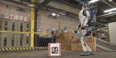 Google-Mutter verkauft Roboterfirma
