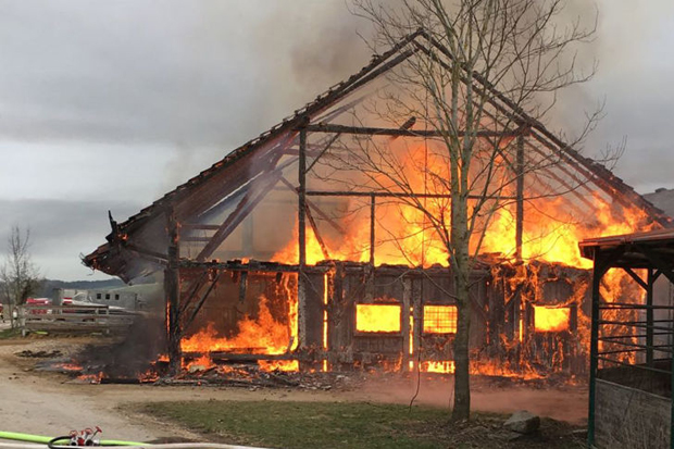 Großbrand auf Reiterhof: Brandstiftung