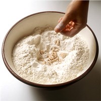 Brot1