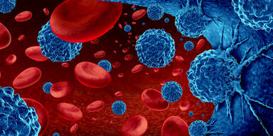 Hoffnung bei Blutkrebs: Neue Therapien erhöhen Chancen auf langes Überleben bei guter Lebensqualität