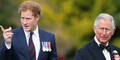 Prince Harry: Begged Charles not to marry Camilla