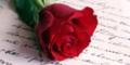 rose und brief