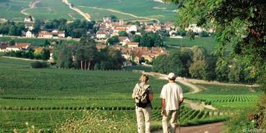 Die Landschaft ist von Weinbergen geprägt