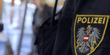 700 Kilo Kau-Drogen beschlagnahmt