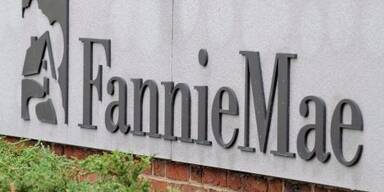 Fannie Mae erhielt 44,9 Mrd. Dollar vom Staat