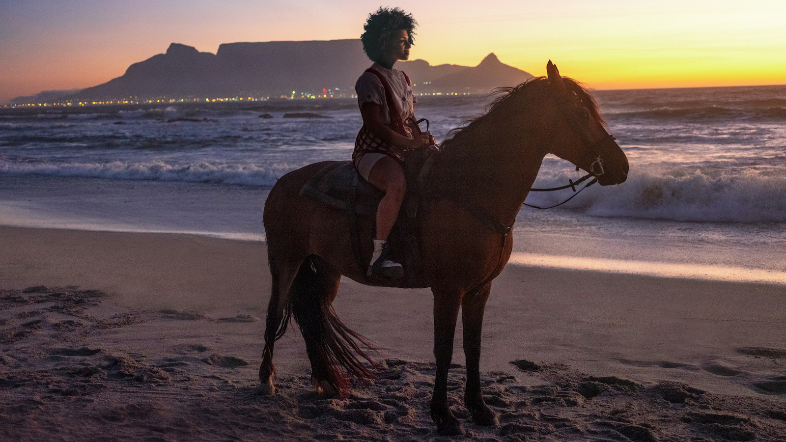 Ungezähmte Lebensfreude | Safari mal anders: Am Meer, in der Luft oder ...