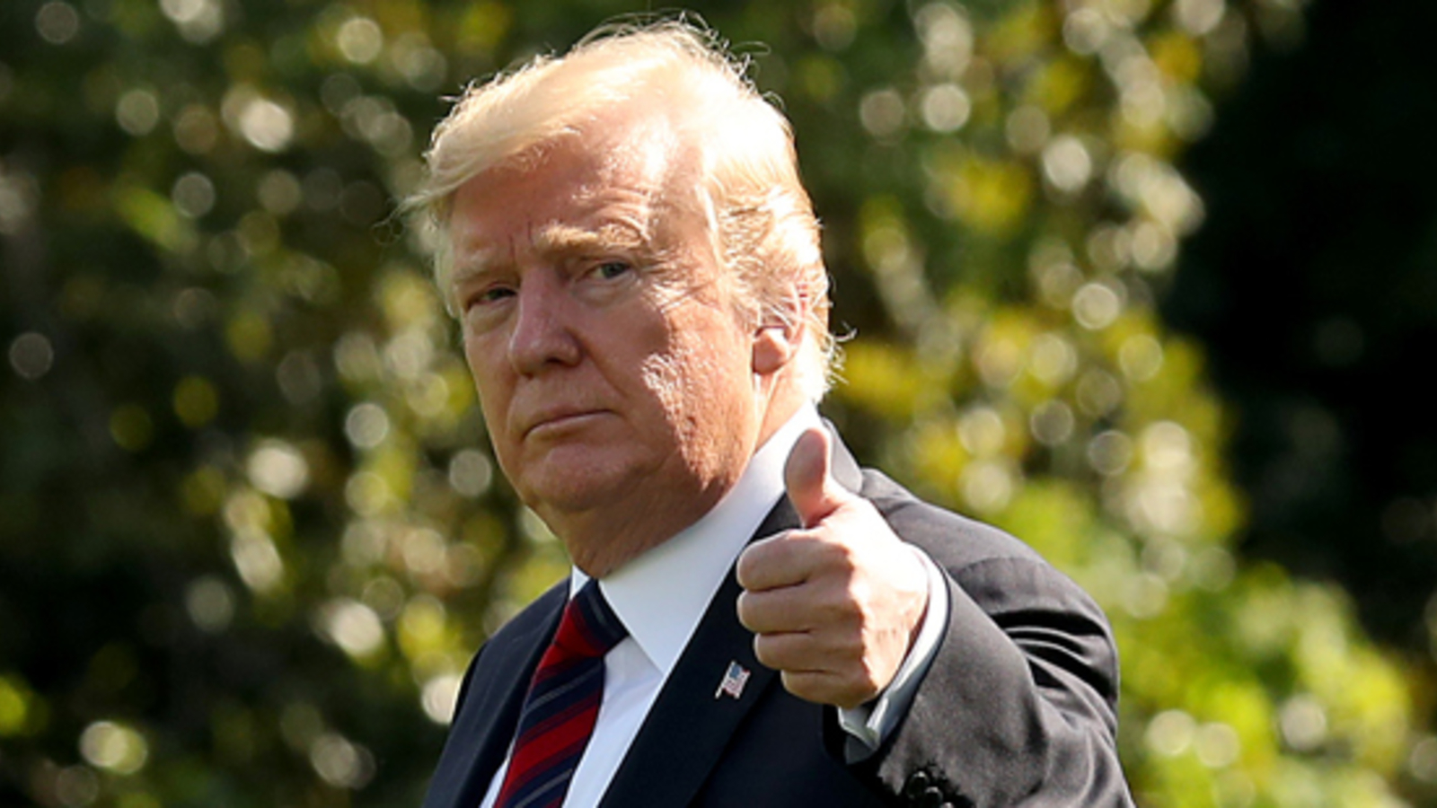 Trump Oben Ohne Die Szene Die Alle Schockiert Sir Warum Sind Sie Auf Dem Dach - n13tedc