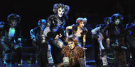 Wien: Musical CATS bis 9. Jänner abgesagt