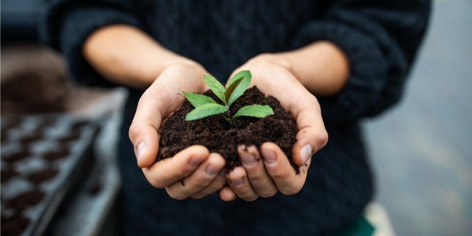Zero Waste: Ein erreichbares Ideal?