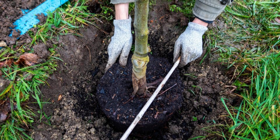Klimaschutz bei Lottoland