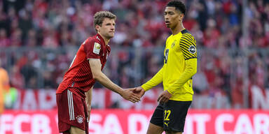 Müller Bellingham