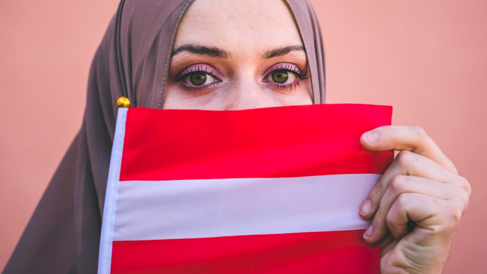 Überraschung 70 der Einwanderer sind Analphabeten