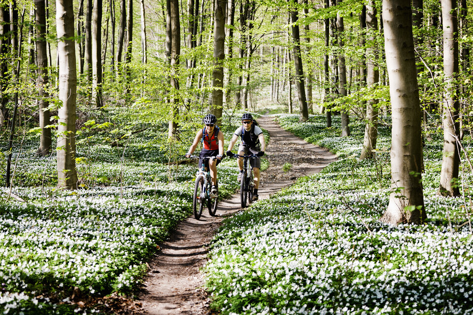 Mehr Energie im Frühling