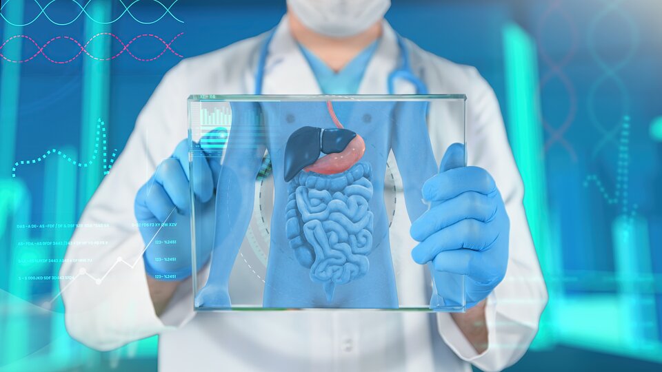 Entzündete Darmwand: Fakten & Therapien