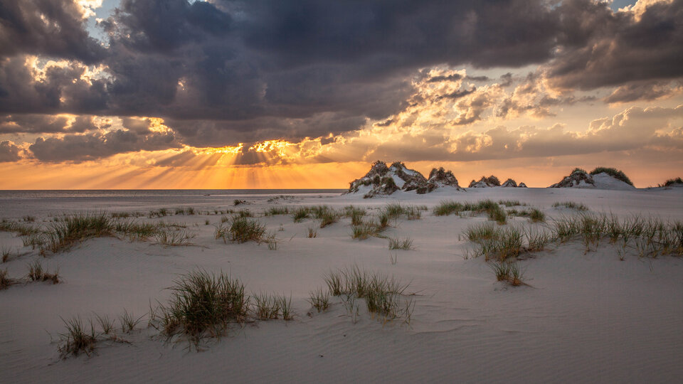 Amrum. Herrliche Dünenlandschaft auf der Nordseeinsel.